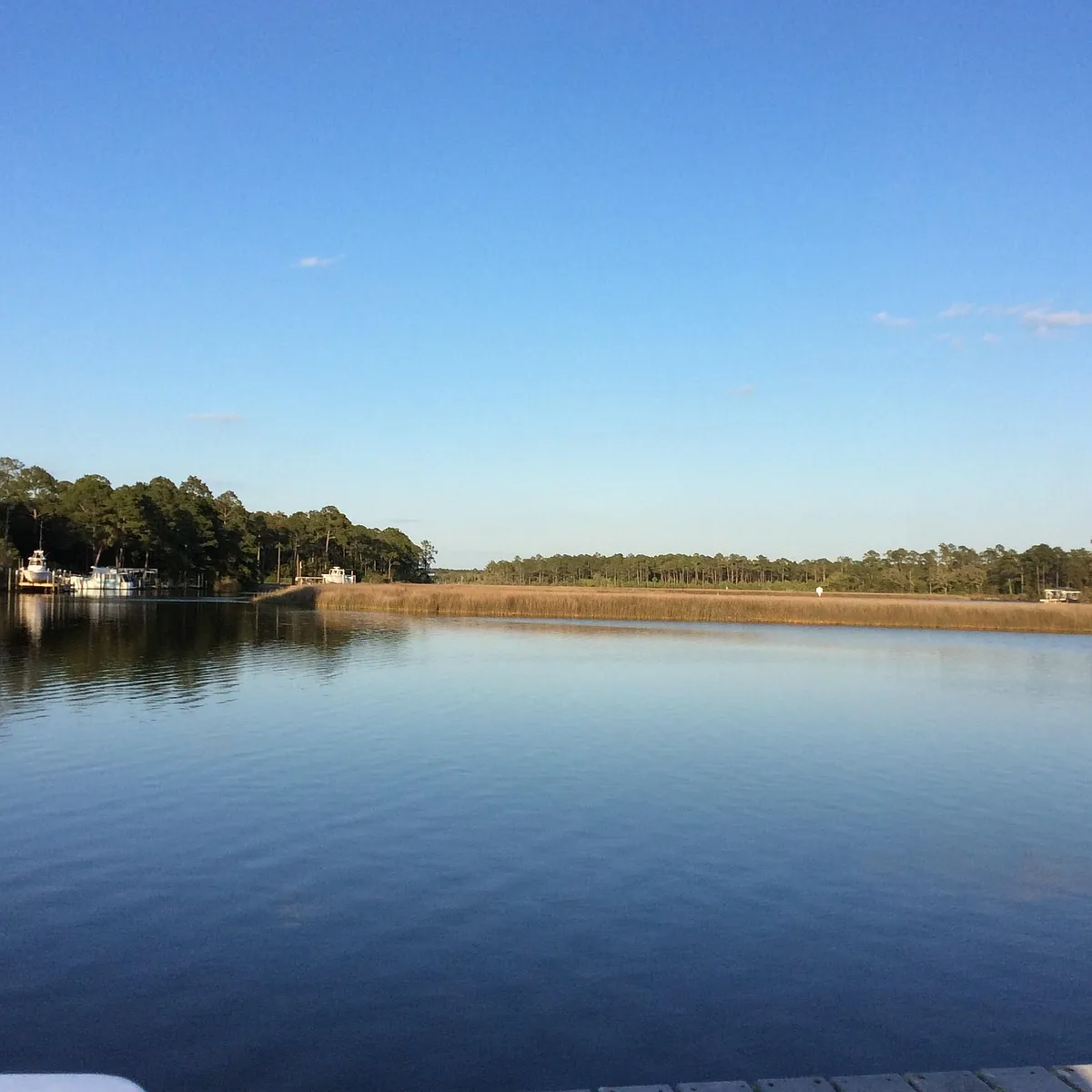 Bayou Grande - 9013 Gerald Rd