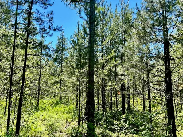 270 Spring Valley Rd, Newport, WA 99156