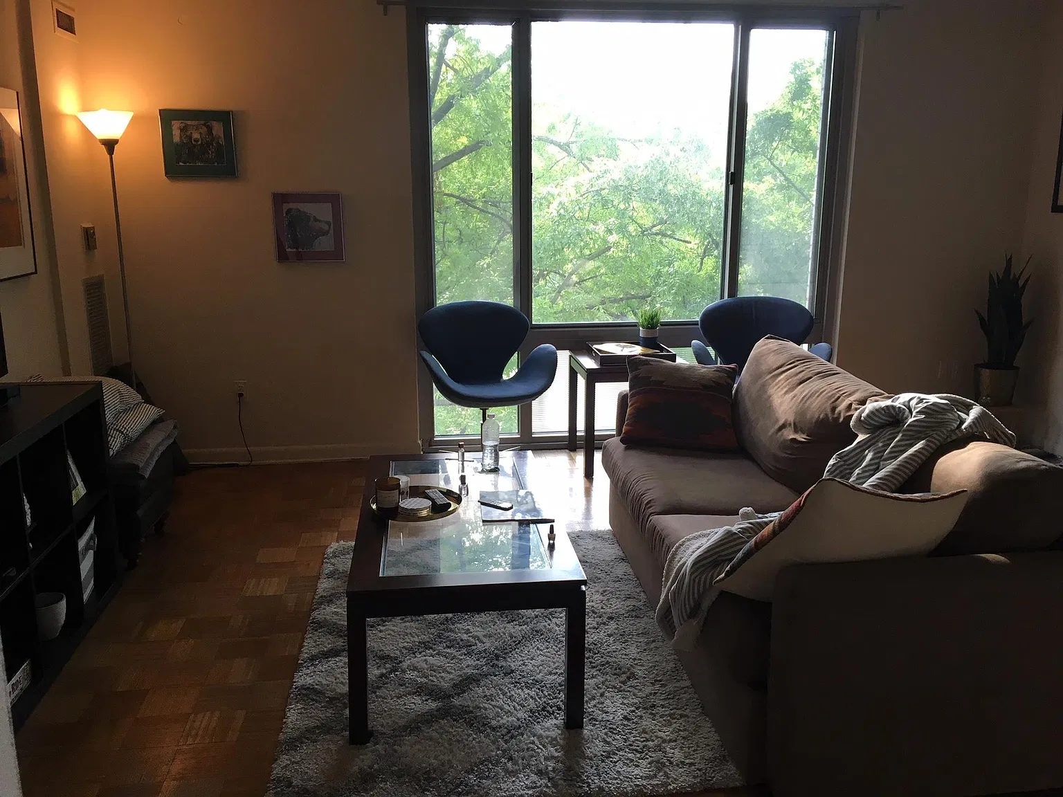 1 bed, 700 sqft, $2,450 — Photo 1