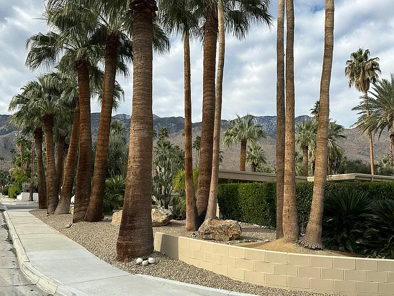 1580 Rojo Cir — Photo 6