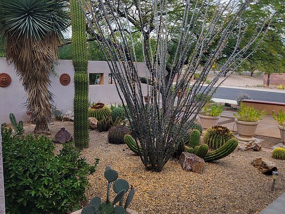 Lovely front patio with native flora.
