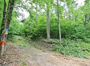 Neddy Mountain Rd, Del Rio, TN 37727
