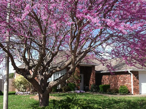 2nd image of 3601 W Margaret Pl