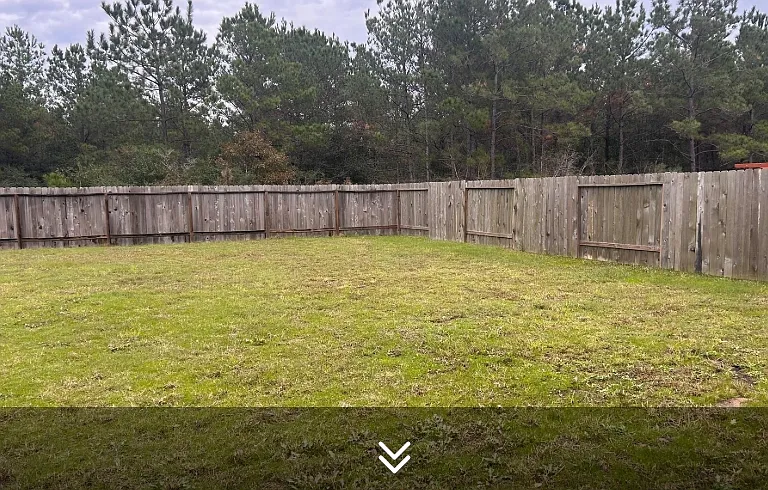 Oversized backyard!