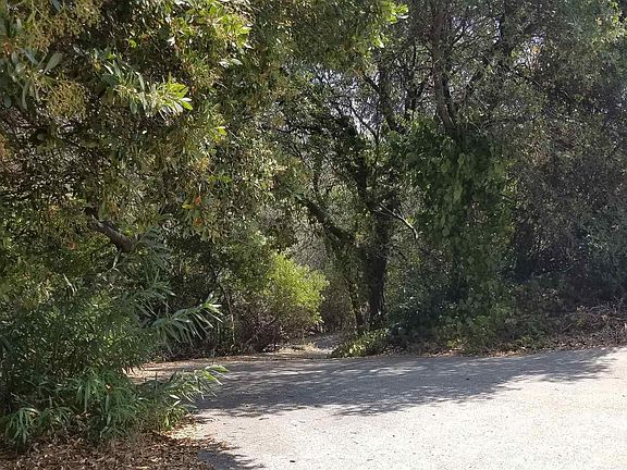 5th image of 20582 Eureka Dr