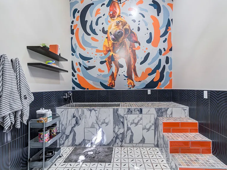 A spa day for your pup, just steps from your door