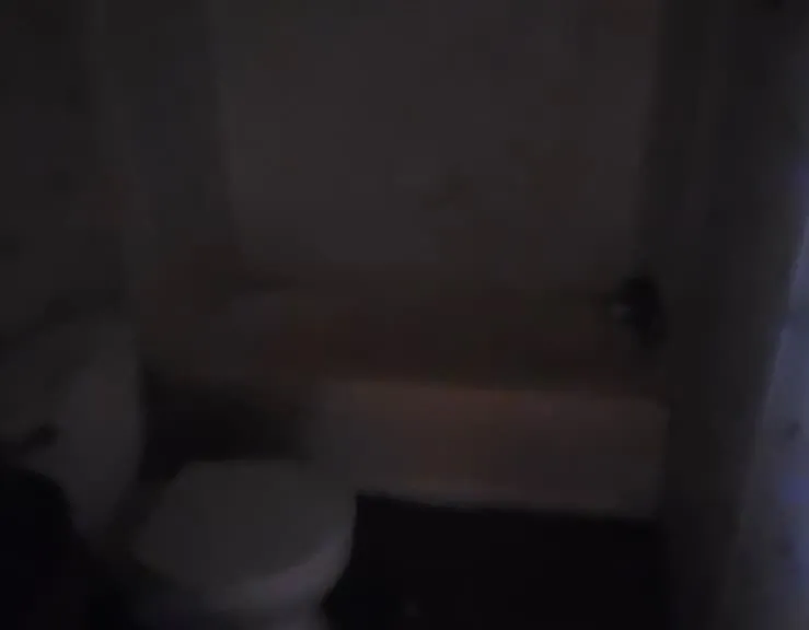 8364 Cedar St #10 — Photo 32