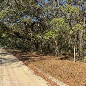 0 CHESTNUT Road, Hawthorne, FL, 32640