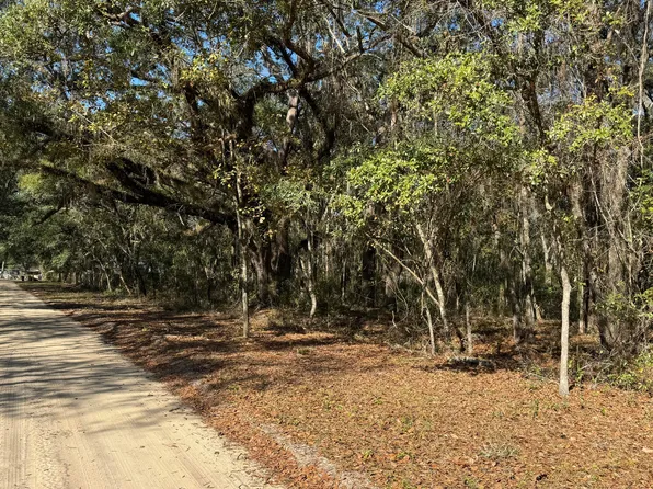 0 CHESTNUT Road, Hawthorne, FL 32640