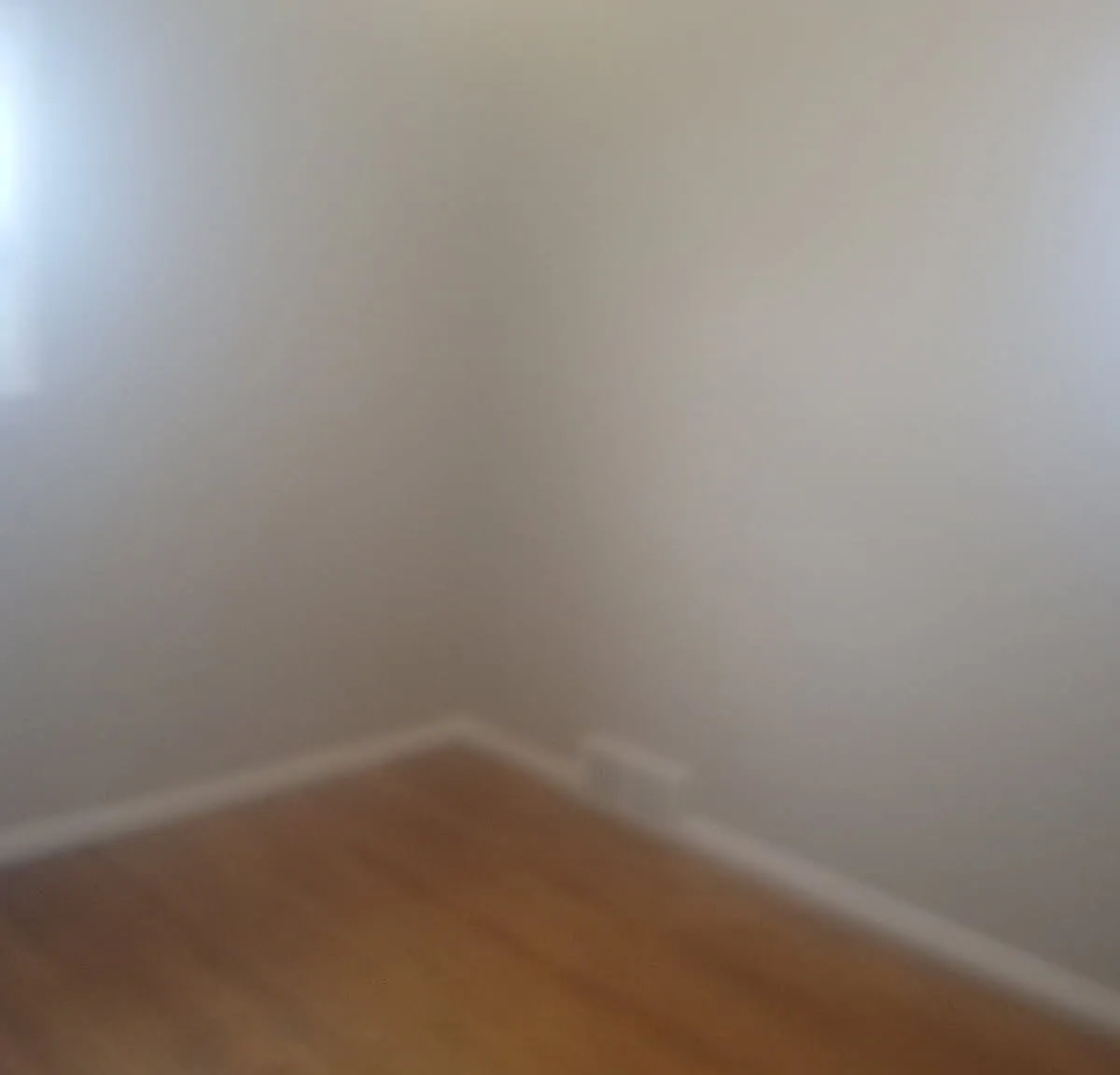 3 bed, 1007 sqft, $1,425 — Photo 2