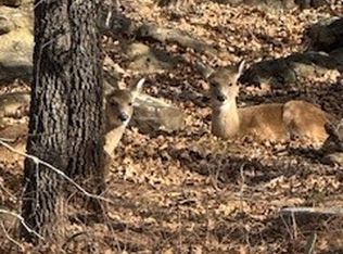 138 Cortez Dr, Nocona, TX 76255