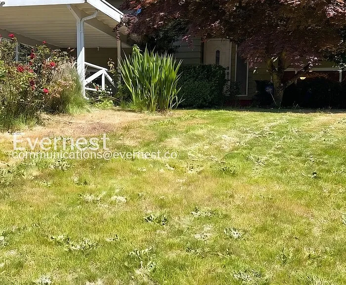 4907 241st St SW — Photo 2