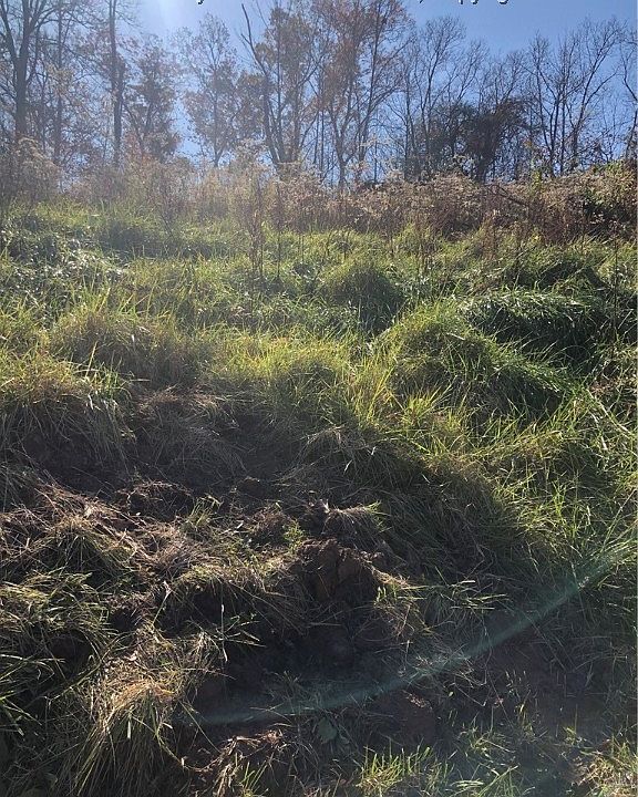 1st image of 624 Melody Ln