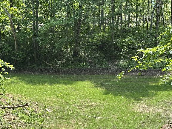 3rd image of 0 Cub Creek Rd