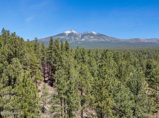 5216 Hidden Hollow Rd, Flagstaff, AZ 86001