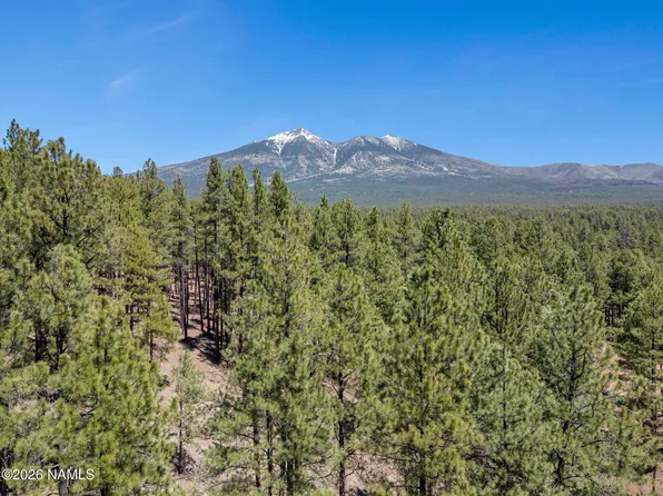 5216 Hidden Hollow Rd, Flagstaff, AZ 86001