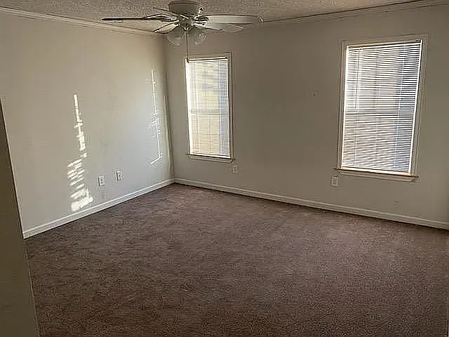 300 Kelly Dr — Photo 9