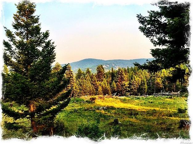 2nd image of MP 292 Hwy 20 #Lot23