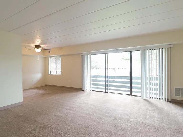 Living Room / Dining Room
