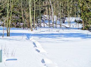 893 Lumberjack Dr, Fairplay, CO 80440