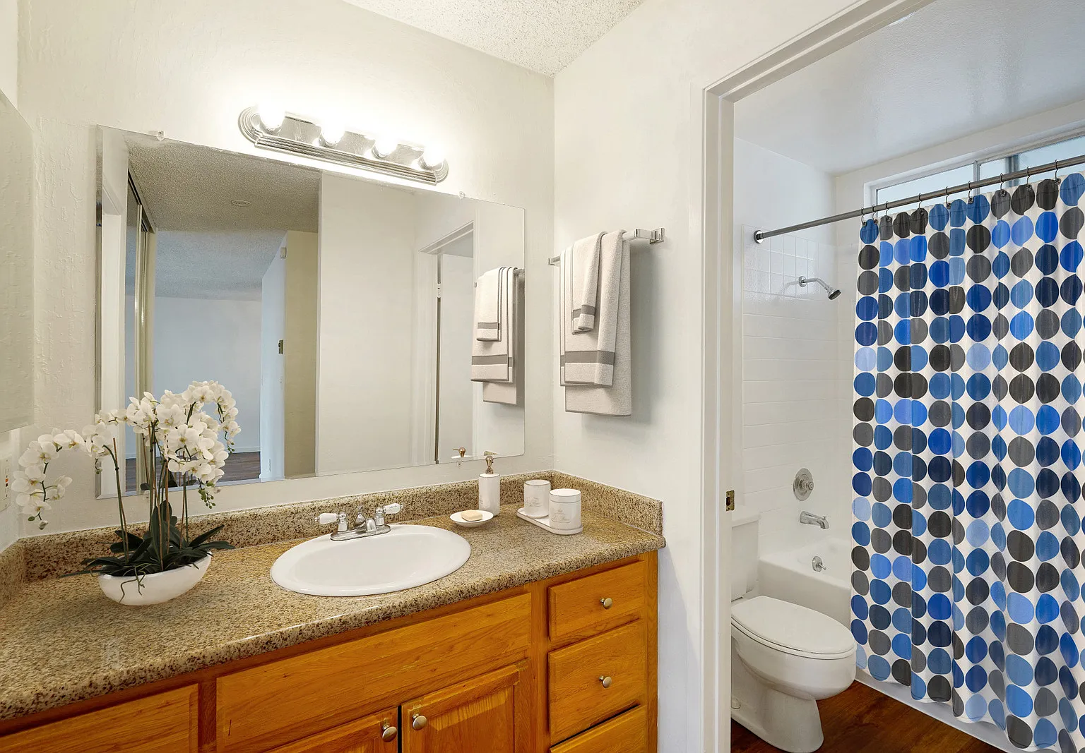 Birchwood Apartments — Photo 4