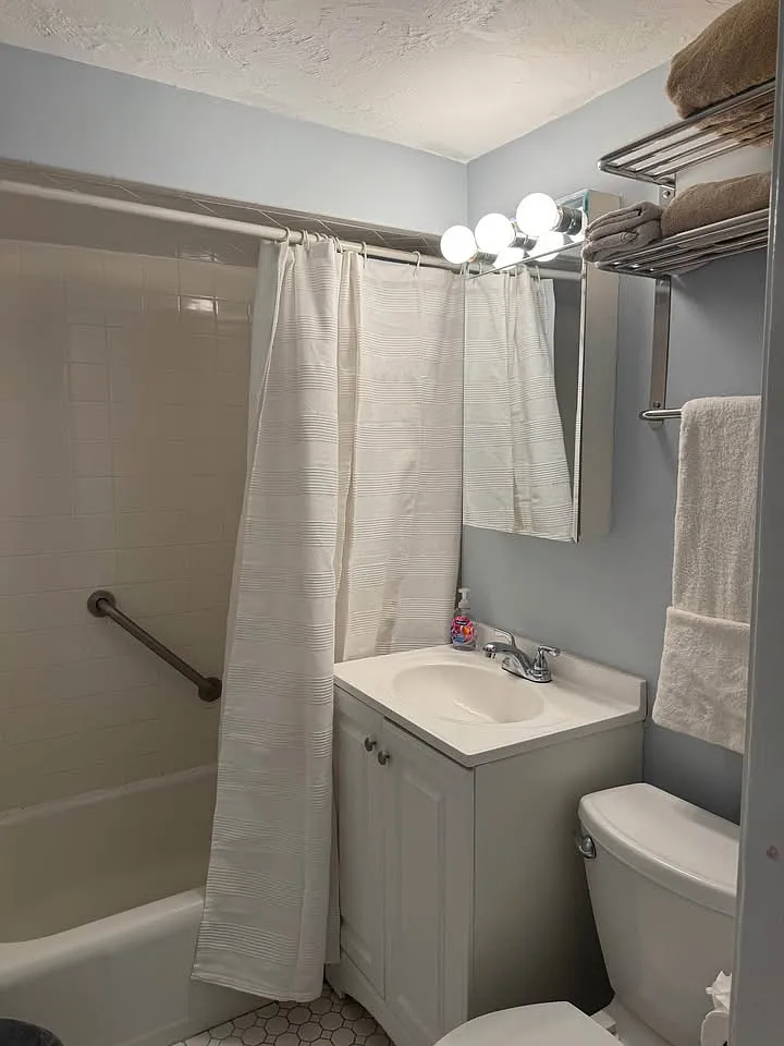 Studio, 450 sqft, $2,350 — Photo 4