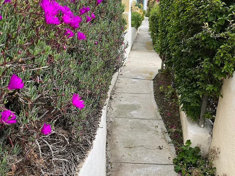 Walkway from laundry room
