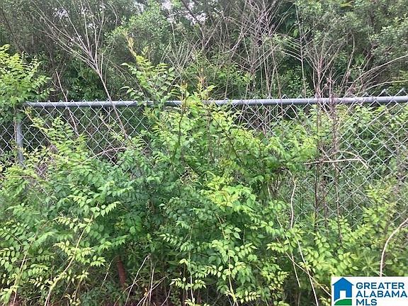 5th image of 3115 Eddins Rd