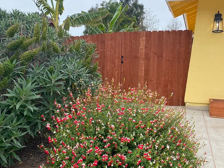 1485A Manzanita St — Photo 2