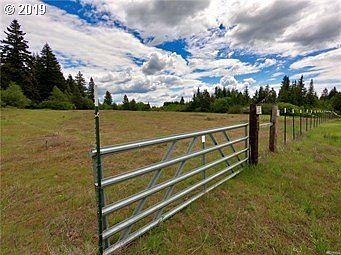 2nd image of 14 E Timber Valley Rd