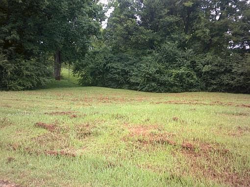 2nd image of 325 Gean Ln
