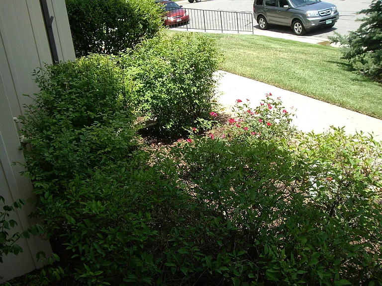 3655 S Kittredge St #E — Photo 23