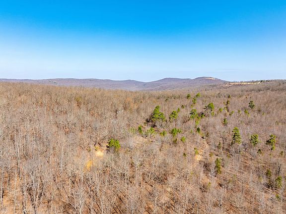 Jimmy Creek Road4