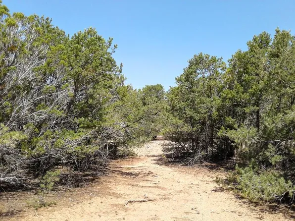 23 Jesse James Rd, Edgewood, NM 87015