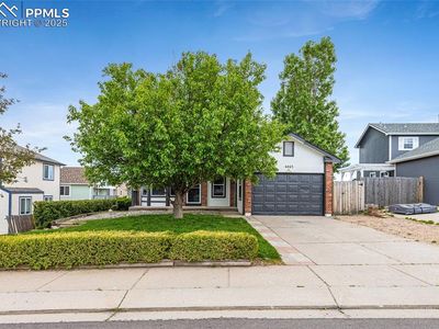 4465 Archwood Dr, Colorado Springs, CO, 80920