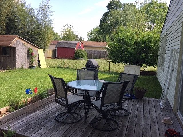 Back yard
