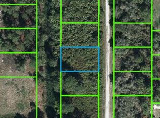 519 Rockefeller Ave, Lake Placid, FL 33852