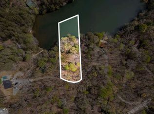 94 Cherry Lake Ct, Blue Ridge, GA 30513