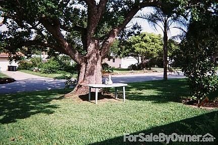 Street-Front Yard View from House