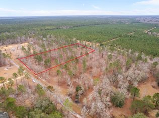 TRACT 2 Loggan Ln, Jesup, GA 31546