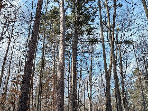5th image of 00 Larson Rd