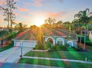 1354 Forestedge Blvd, Oldsmar, FL 34677