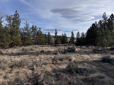 711 Rabbit Run, Stevensville, MT, 59870