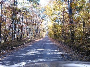 4800 Hatch Road 20 Acres, Indian River, MI 49749