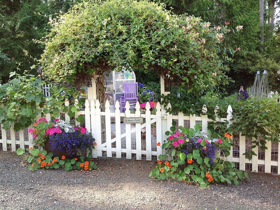 Into the vegetable garden