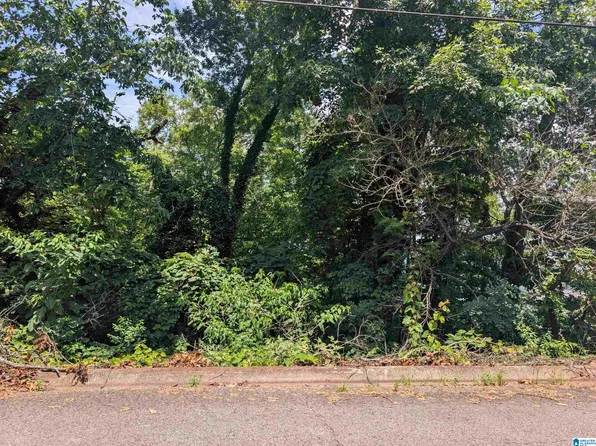 0 Hillyer High Rd Lot 0, Anniston, AL 36207