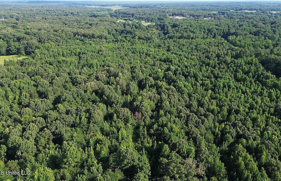 1st image of 3605 Byhalia Rd Lot 2