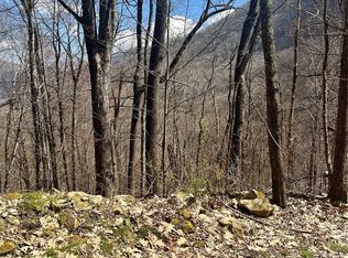 791 Hidden Cove Rd, Maggie Valley, NC 28751