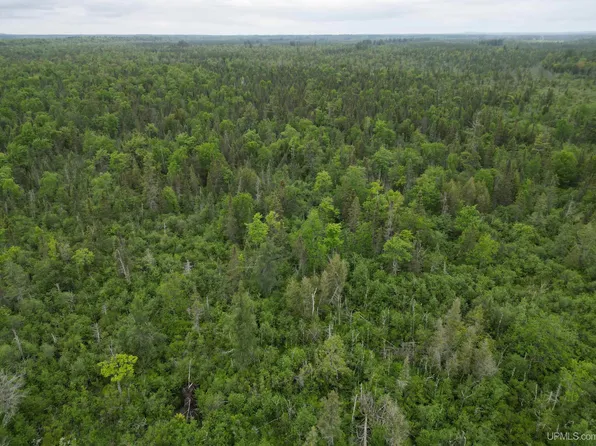 Off Ee25 Rd, Rapid River, MI 49878