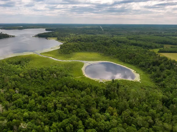 Wabedo Ln NE, Longville, MN 56655